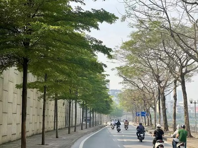 Mảnh đất mặt đường bưởi, 2 mặt thoáng, cần thanh lý gấp, diện tích 60m2 full  thổ cư , giá chỉ 2x 0