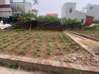 Chính chủ bán tt quang minh,58m,2,55 tỷ,full tc,đường trục chính 3
