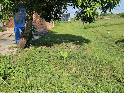 Bán đất thổ cư tại củ chi   lý tưởng để đầu tư   phát triển 0