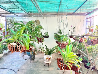 Bán nhà vũ tông phan - chủ tự xây tâm huyết - ngõ ô tô - kd tốt - 15.6 tỷ 4