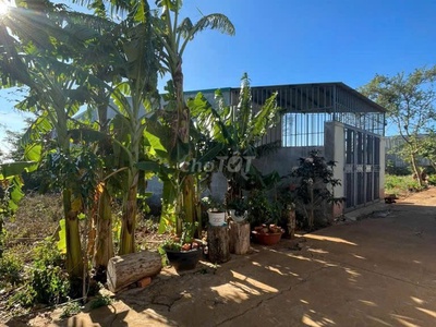 Chính chủ cần bán lô đất vị trí đẹp tại thành phố buôn ma thuột 0