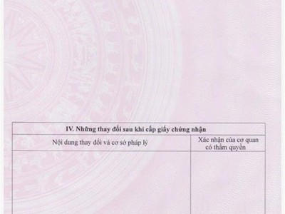 Kinh doanh đỉnh , sổ đẹp phân lô , 10m ra phố lê thanh nghị , đang cho thuê 50tr/tháng . dt 56.7m2 1