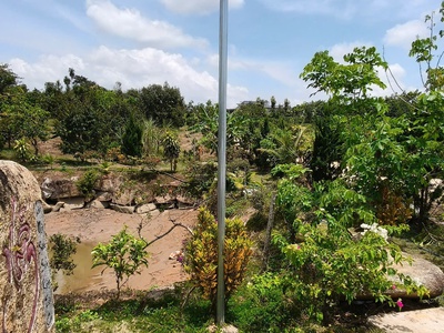 Bán đất vườn Lộc Nam sẵn sổ tc gần full 4