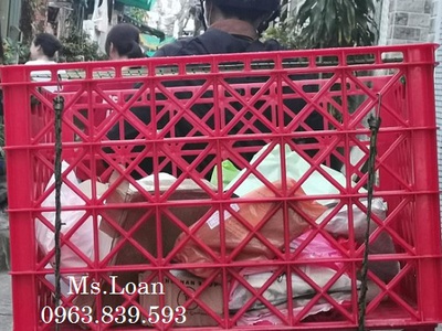 Sóng nhựa shipper giao hàng xe máy, sóng nhựa chở hàng, rổ nhựa công nghiệp. 12