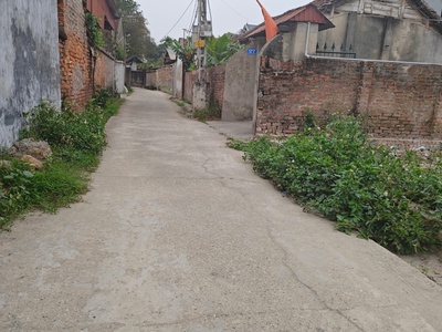 Đất đẹp - giá tốt - vị trí đắc địa tại thôn nam cường, xã hiền ninh, huyện sóc sơn, tphn 1