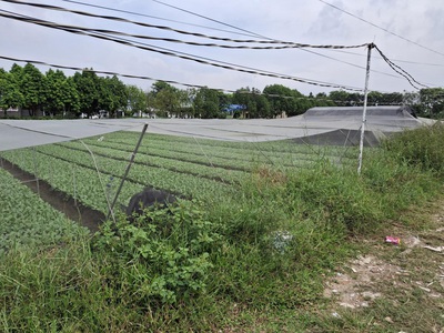 Rẻ  đất 2.9tr/m  0.5ha   xuân thới thượng 2 hm 1