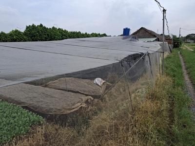 Rẻ  đất 2.9tr/m  0.5ha   xuân thới thượng 2 hm 2