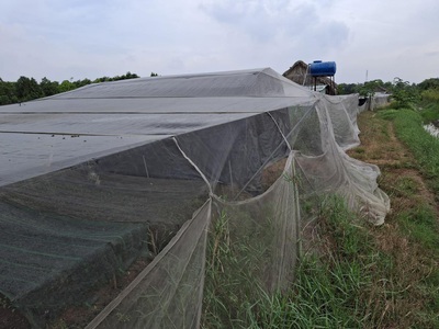 Rẻ  đất 2.9tr/m  0.5ha   xuân thới thượng 2 hm 3