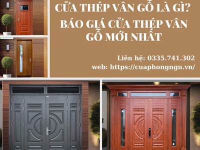 Cửa Thép Vân Gỗ Là Gì 0