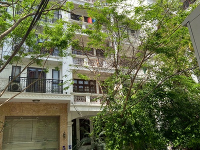 Bán nhà khu phân lô ô tô thông phố liễu giai, ba đình, khu vực dân trí cao, 65m2, 3 tầng, 18.5 tỷ 0