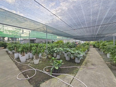 Siêu phẩm lô góc 2 mặt tiền nguyễn duy trinh   61 100   full thổ cư 2