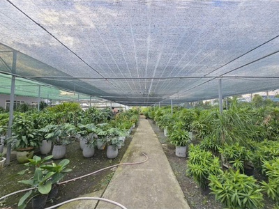 Siêu phẩm lô góc 2 mặt tiền nguyễn duy trinh   61 100   full thổ cư 0