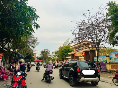 Bán đất phố dã tượng trung tâm thành phố phủ lý -mảnh đất đẹp kinh doanh - 96m2 - 4tỷ300 2