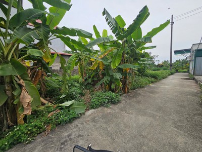 Bán lô đất sau một nhà mặt đường Tràng Cát, Hải An 45m2 giá 1.15 tỷ 1