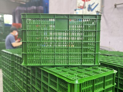 Sóng nhựa 3T9 đủ màu   Xanh lá, xanh dương, đỏ, vàng phân loại dễ dàng 1