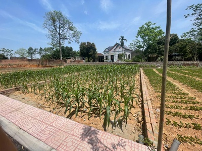 Nhanh tay sở hữu lô đất đẹp tại khu phân lô kiểu mẫu, tiên chu, xã bắc sơn, sóc sơn 4