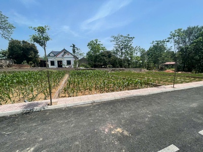Nhanh tay sở hữu lô đất đẹp tại khu phân lô kiểu mẫu, tiên chu, xã bắc sơn, sóc sơn 1