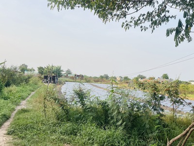 Cơ hội vàng  3018m2 đất cln bình chánh, lê thị dung - chỉ 23 tỷ, sổ hồng, đường 10m 2