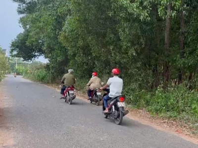 Bán khu vườn dừa 3 năm gần lò gạch thanh phước - đầu tư sinh lời - chính chủ cần bán nhanh khu vườn 4