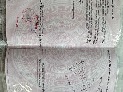 Chính chủ bán nhà nghỉ mặt tiền ql 22  - vị trí tại : tỉnh lộ 782-  gia lộc - trảng bàng -  tây ninh 1