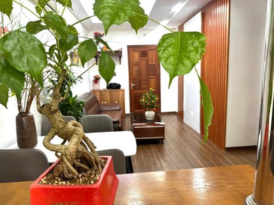 Cần bán căn hộ chung cư tại phường đại kim   65m    2pn, 2wc   giá 3,1 tỷ 3