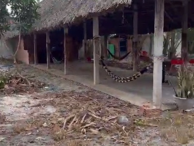 Bán khu vườn dừa 3 năm gần lò gạch thanh phước - đầu tư sinh lời - chính chủ cần bán nhanh khu vườn 0