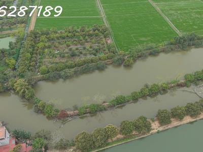 Bán lô đất gần tỉnh lộ 285b, lương tài, bắc ninh cơ hội đầu tư hiếm có 4