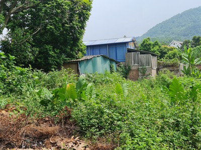 Cho thuê đất Hàm Thuận Bắc, Bình Thuận, diện tích 1ha, san lấp sẵn mặt bằng, ô tô ra vào thuận lợi. 0