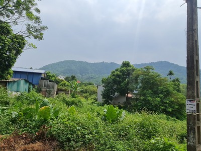 Cho thuê đất Hàm Thuận Bắc, Bình Thuận, diện tích 1ha, san lấp sẵn mặt bằng, ô tô ra vào thuận lợi. 1