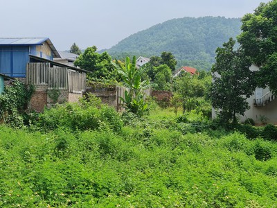 Cho thuê đất Hàm Thuận Bắc, Bình Thuận, diện tích 1ha, san lấp sẵn mặt bằng, ô tô ra vào thuận lợi. 2