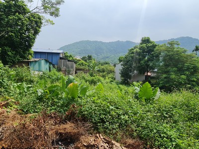 Cho thuê đất Hàm Thuận Bắc, Bình Thuận, diện tích 1ha, san lấp sẵn mặt bằng, ô tô ra vào thuận lợi. 3