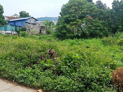 Cho thuê đất Hàm Thuận Bắc, Bình Thuận, diện tích 1ha, san lấp sẵn mặt bằng, ô tô ra vào thuận lợi. 6