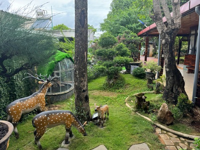 Cần bán rẻ siêu phẩm biệt thự cực đẹp và đẳng cấp mặt tiền đường, tặng 1 lượng vàng sjc 3