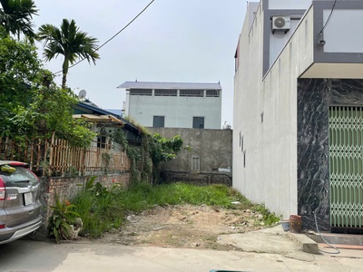 Bán đất tổ 9, tt quang minh, mê linh, hn. gần kcn và trường cd y dược tuệ tĩnh. 0