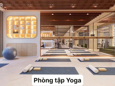 Bán gấp căn hộ Peninsula 1PN view trực diện sông Hàn giá xuất ngoại giao cực tốt 8