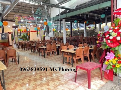 Ghế dựa đại Vita phù hợp văn phòng, quán ăn, nhà hàng 0