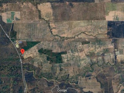 Hơn 200 hecta đất kề quốc lộ 29, h. ea sup, đăk lăk - giá chỉ 25 tỷ 4