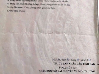 Hơn 200 hecta đất kề quốc lộ 29, h. ea sup, đăk lăk - giá chỉ 25 tỷ 1