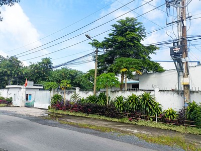 Bán nhà xưởng đường lương thị thiềm - 3455m2 - 34.5x88 - 3455m2 thổ cư - xã hòa phú - củ chi 1