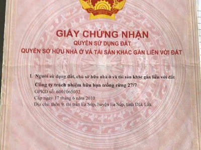 Hơn 200 hecta đất kề quốc lộ 29, h. ea sup, đăk lăk - giá chỉ 25 tỷ 0