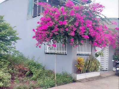 Bán nhà lầu thiện tân - trảng dài, gần chợ quang thắng, chỉ 1tỷ950 0