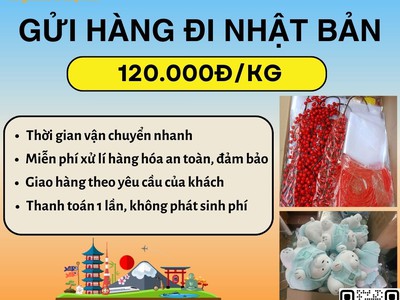 Gửi hàng đi Nhật Bản - Tiến Việt Express 0