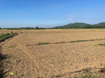 Cần tiền gấp nên gia đình tôi cần bán lô đất ngay khu dân cư chỉ 300 triệu 1