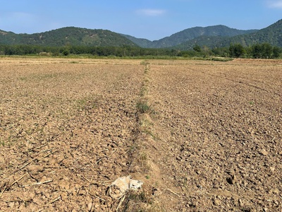 Cần tiền gấp nên gia đình tôi cần bán lô đất ngay khu dân cư chỉ 300 triệu 2