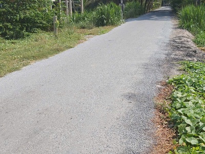 Chính chủ bán 439m2 đất mặt tiền nhựa 4m tại xã hoà định, huyện chợ gạo, tỉnh tiền giang 1