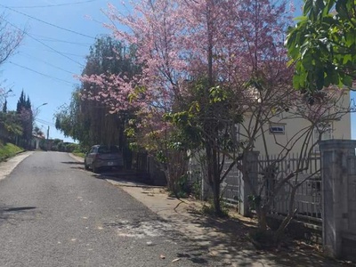 Lô đất nghỉ dưỡng view siêu đẹp khu biệt thự Đại Học Đà Lạt, Đường Lý Nam Đế, Phường 8. 0