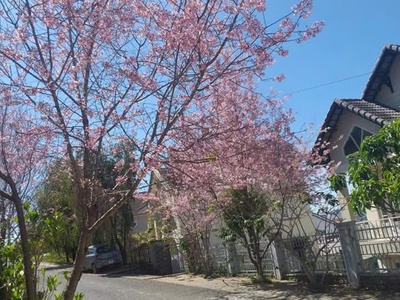 Lô đất nghỉ dưỡng view siêu đẹp khu biệt thự Đại Học Đà Lạt, Đường Lý Nam Đế, Phường 8. 2