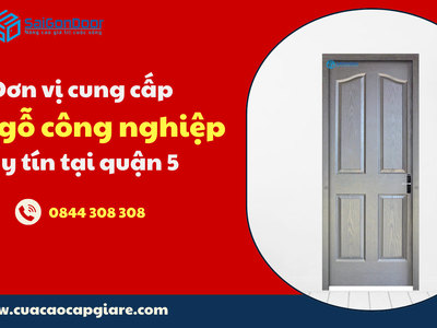 Đơn vị cung cấp cửa gỗ công nghiệp uy tín tại quận 5 0