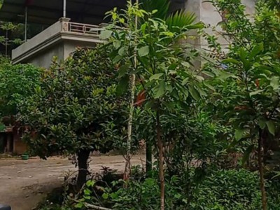 Bán nhanh đất đẹp chính chủ- vị trí đẹp 1200m2 -quang tiến, hòa bình 2