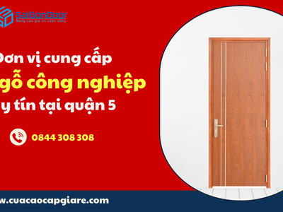 Đơn vị cung cấp cửa gỗ công nghiệp uy tín tại quận 5 1
